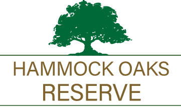 Hammock Oaks Reserve,Florida,New,Homes,Builders,Community,Maronda Homes,Meritage Homes,Dream Finders